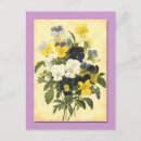 Search for pansy postcards Floral