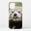 Search for giant panda iphone cases Cute