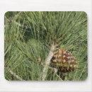 Search for pine needle electronics Green
