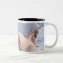Search for sow mugs Fauna