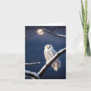 Search for owl note cards Snow