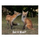 Search for mint posters Nature