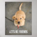 Search for focus posters Portrait