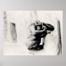 Search for cool monkey art Gorilla