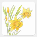 Search for watercolor daffodils stickers Floral