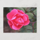 Search for arboretum postcards Ohio