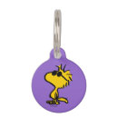 Search for cool pet tags Charlie brown