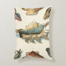 Search for shell decor Beach