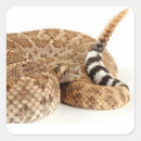 Search for rattlesnake stickers Wildlife