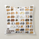 Search for pig cushions Cavy