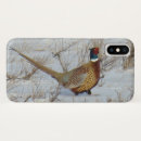 Search for pheasant electronics Phasianus colchicus