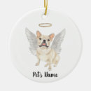 Search for french bulldog pet supplies Rainbow bridge