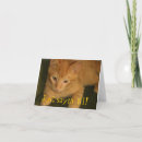 Search for snail mail cards Cute