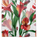 Search for red lily Pink