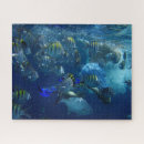 Search for aquarium puzzles Nautical