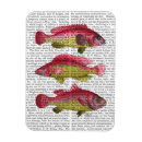 Search for trio magnets Fantasy