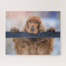 Search for cocker spaniel puzzles Red