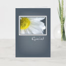 Search for foreign language cards Spanish