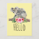 Search for koala baby postcards Watercolor