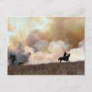 Search for rancher postcards Cowboy
