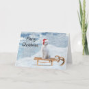 Search for poodle christmas cards Snow