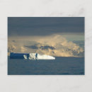Search for berg postcards Blue