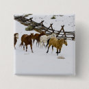 Search for horses running badges Big