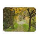 Search for autumn stamp magnets Path