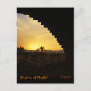 Search for sunsets postcards Palm