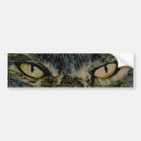 Search for cat eyes bumper stickers Cats