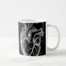 Search for anatomical mugs Illustration