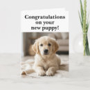 Search for new dog cards Fur baby