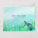 Search for turtle save the dates Birthday