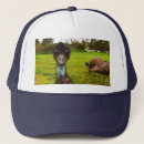 Search for daring hats Bird