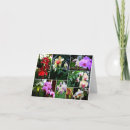 Search for florist cards Gardening