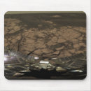 Search for soil mouse mats Rubble