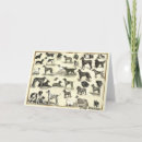 Search for hounds cards Breed