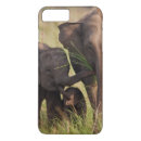 Search for indian elephant iphone cases Animal