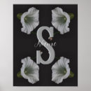 Search for morning glory art Nature