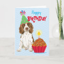 Search for springer spaniel birthday cards Puppy