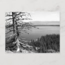 Search for black and white photography postcards Travel destinations