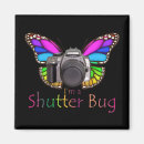 Search for bug pictures magnets Photography