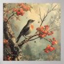 Search for robin posters Redbreast
