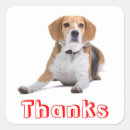 Search for beagle puppy stickers Dog