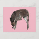 Search for scratching postcards Cute