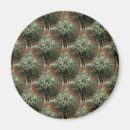 Search for laced magnets Green