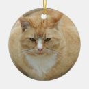 Search for laugh christmas tree decorations Kitty