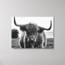 Search for highland cattle canvas prints Portrait