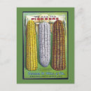Search for seed packets postcards Colourful