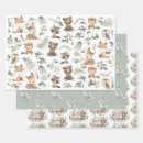 Search for raccoon wrapping paper Woodland